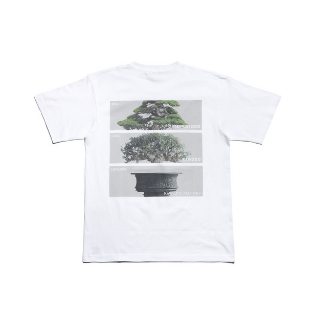 KINOCO × TRADMAN’S BONSAI TEE【WHITE】 詳細画像